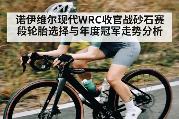 诺伊维尔现代WRC收官战砂石赛段轮胎选择与年度冠军走势分析